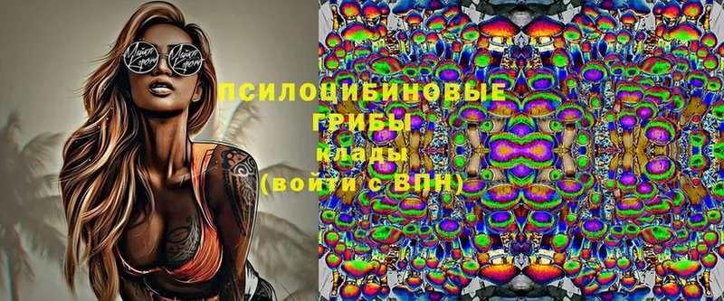 Псилоцибиновые грибы Magic Shrooms  Артёмовский 